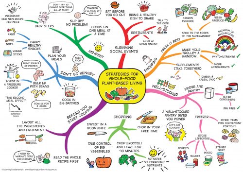 whole food plant based mind map